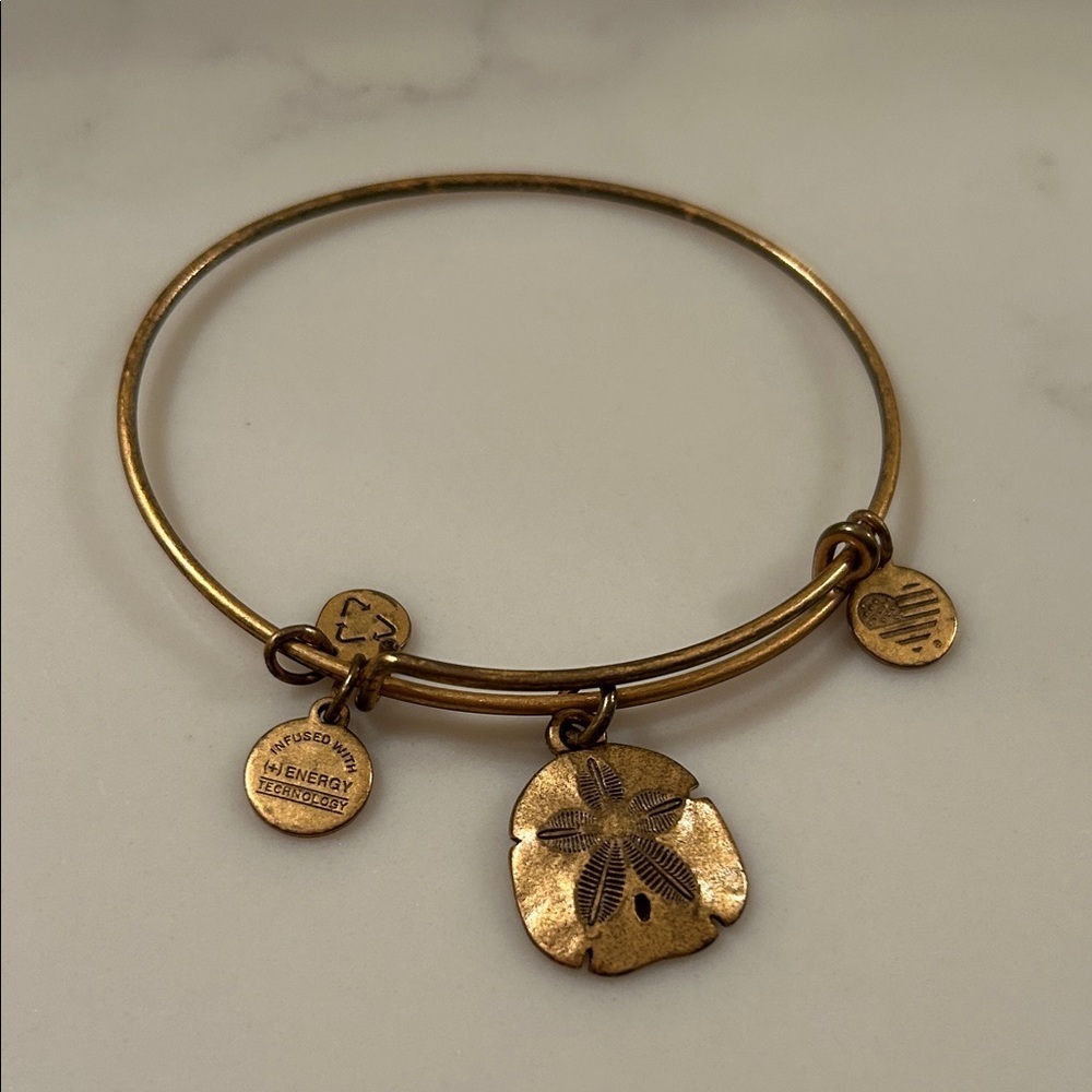 alex and ani Gold Charm Bangle Bracelet